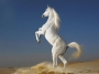 beyaz at
